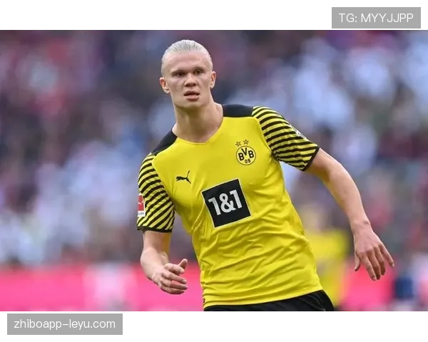 哈兰德精彩进球引爆全场，球迷惊叹其惊人天赋与实力