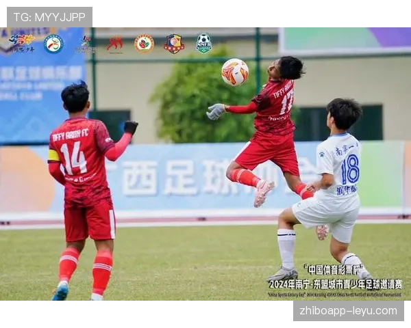 越南国家队勇夺东盟杯冠军,书写历史性辉煌篇章 越南国家队勇夺东盟杯冠军,书写历史性辉煌篇章