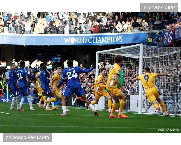 诺维奇球迷不满球队表现，呼吁管理层迅速行动扭转赛季颓势